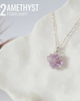 Huggie Charm Necklace - Sterling Silver - Choose Your Birthstone DesignsbyNatureGems
