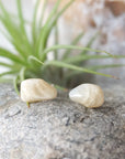 Front view close-up of natural polished moonstone stud earrings on 925 sterling silver posts, minimalist June birthstone earrings.