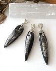 Black Fossil Pendant - Men's Necklace Designs by Nature Gems
