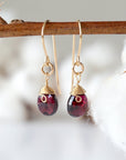 Garnet Drop Earrings - 14k Gold Filled Metal Designs by Nature Gems