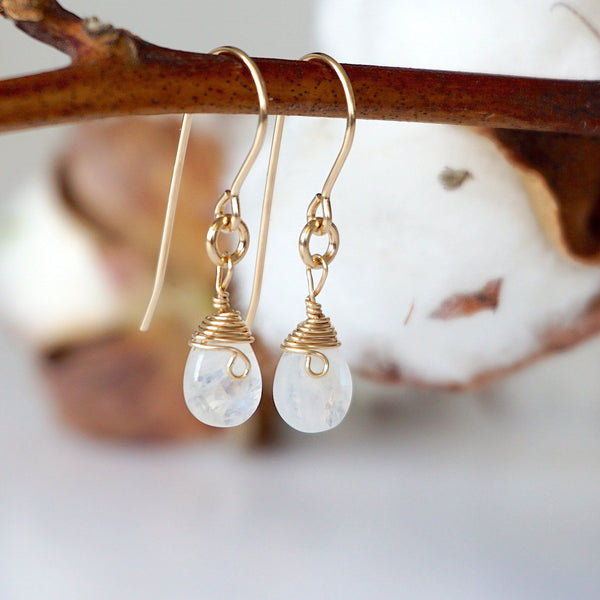 Rainbow Moonstone Drop Earrings - 14k Gold Filled Designs by Nature Gems