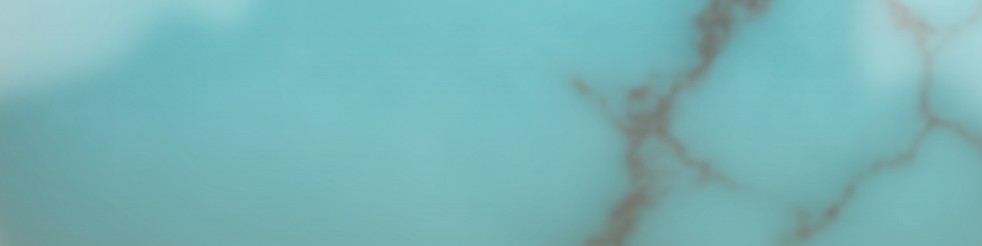 The Turquoise Collection