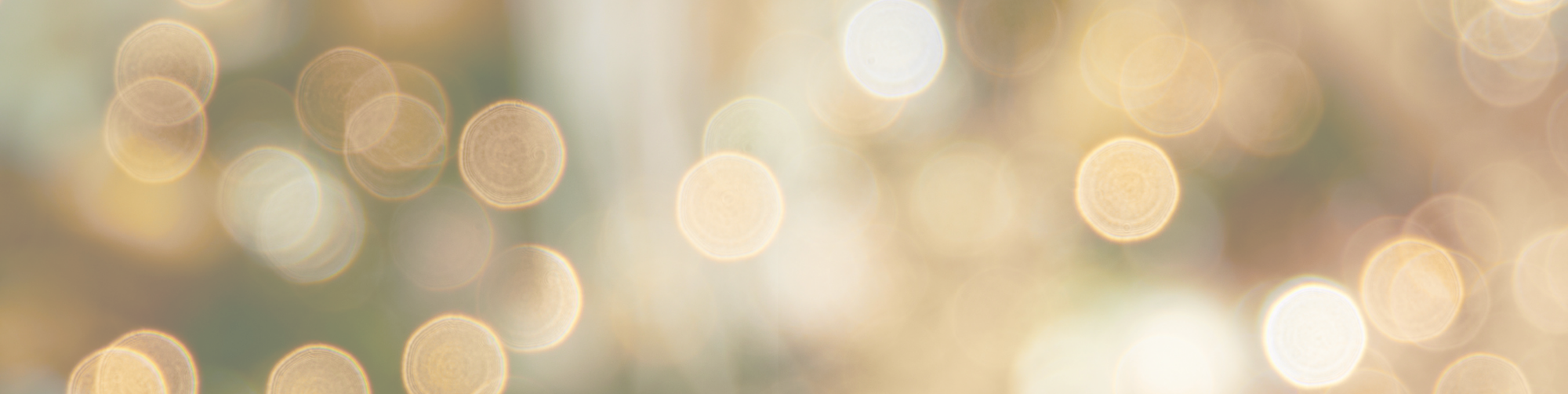 Holiday Collection Banner