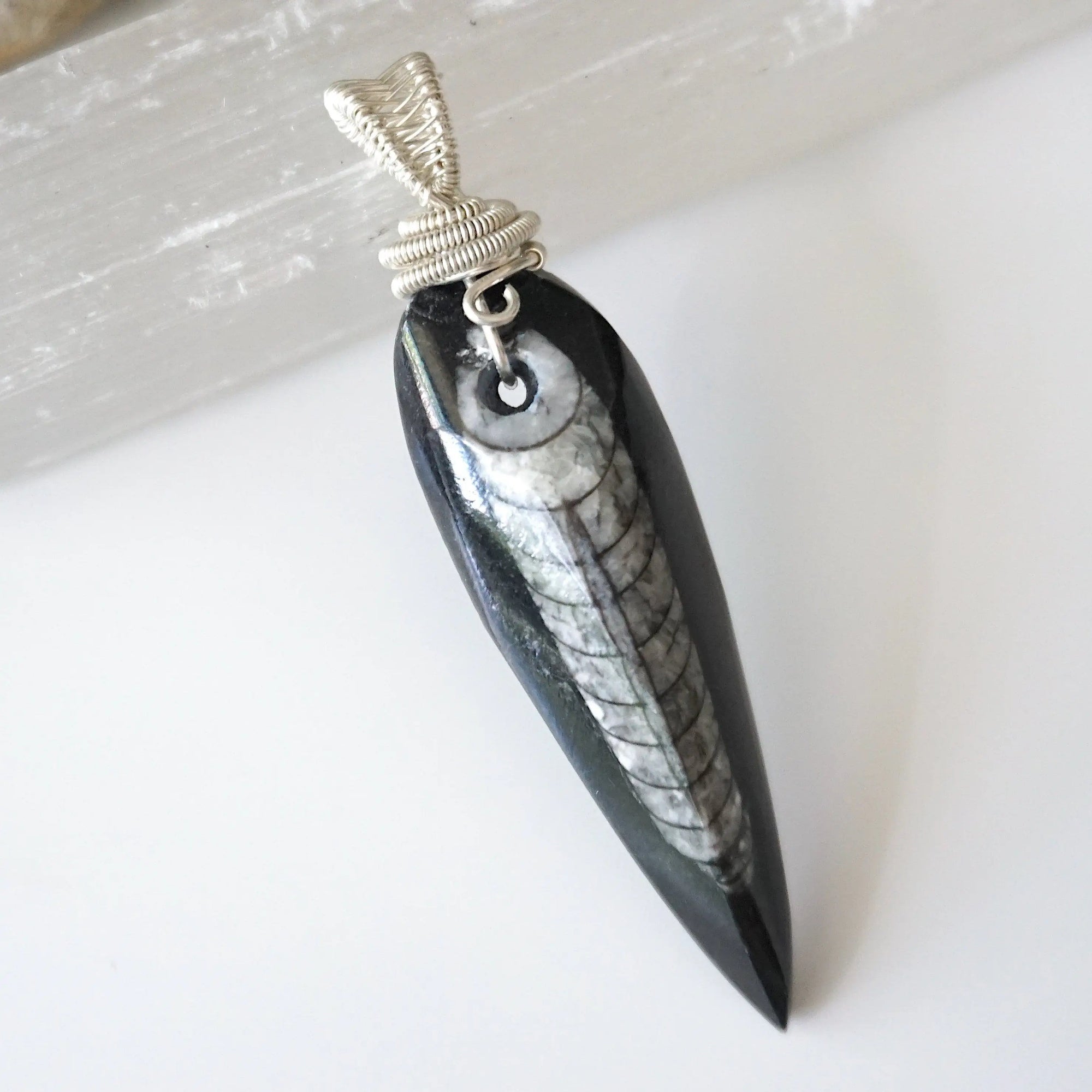 Front angle close-up of Orthoceras fossil pendant for men – detailed 925 sterling silver wire wrapping, prehistoric fossil, minimalist style.