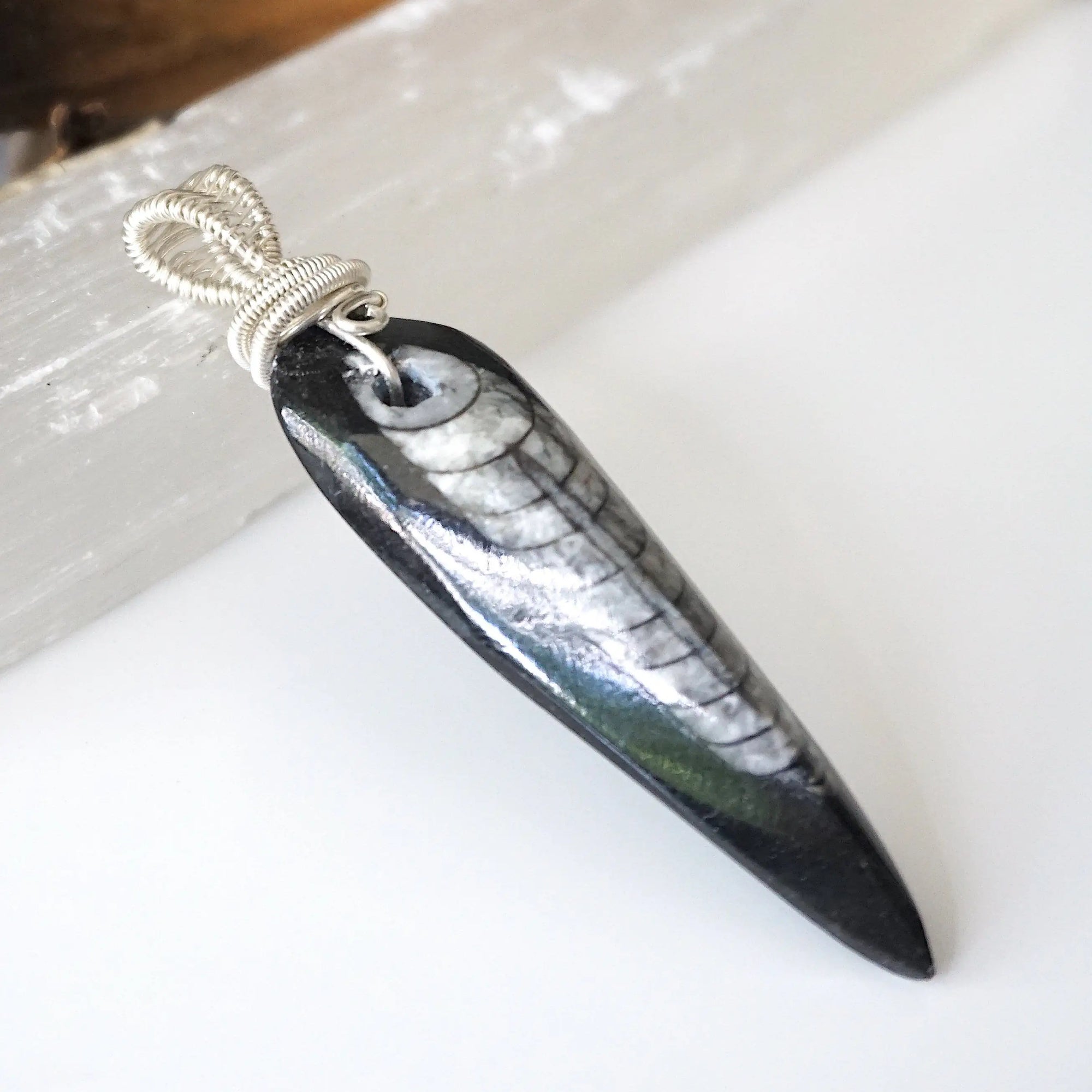 Right angle close-up of Orthoceras fossil pendant for men – highlighting artisan wire-wrapped details, ancient ocean fossil, 925 sterling silver.