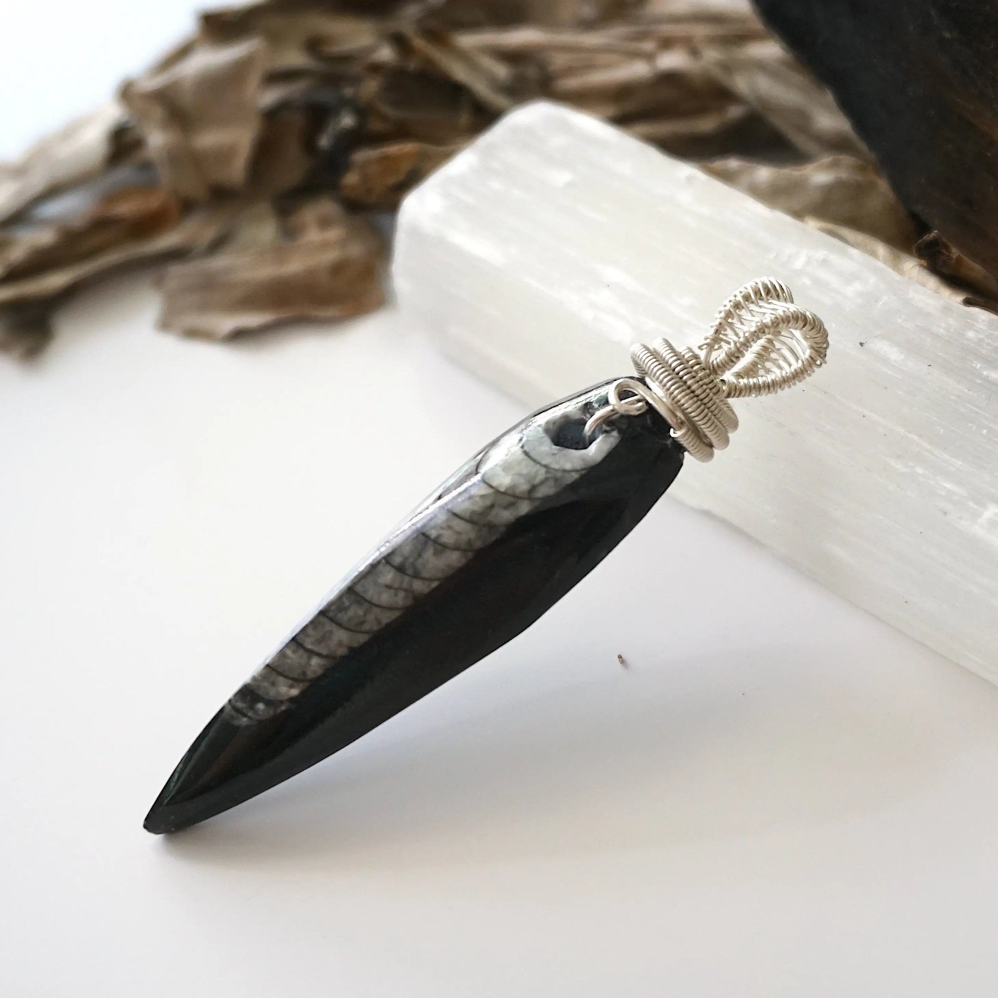 Left angle close-up of Orthoceras fossil pendant for men – unique wire-wrapped artistry, black fossil, 925 sterling silver, prehistoric jewelry.