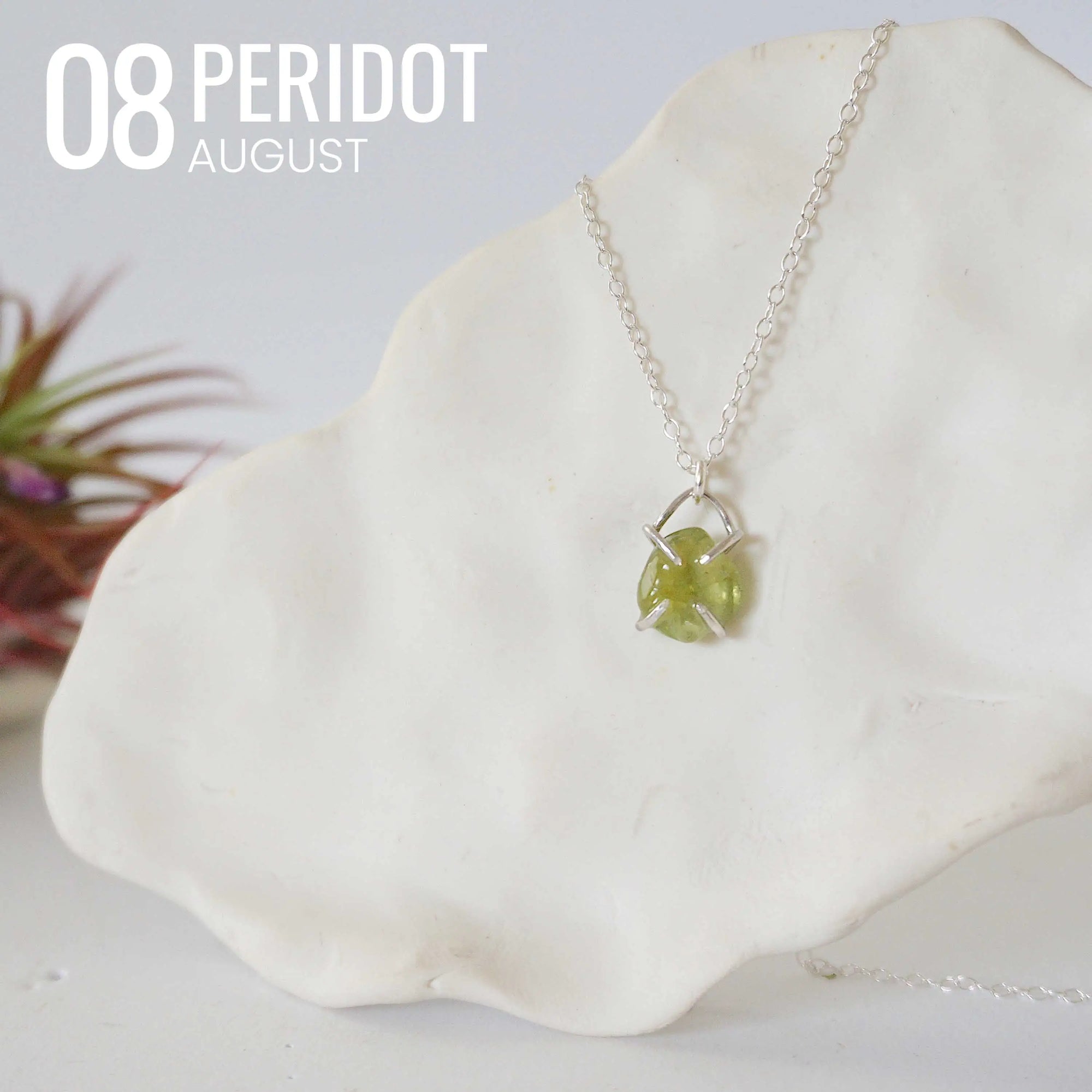 Huggie Charm Necklace - Sterling Silver - Choose Your Birthstone DesignsbyNatureGems