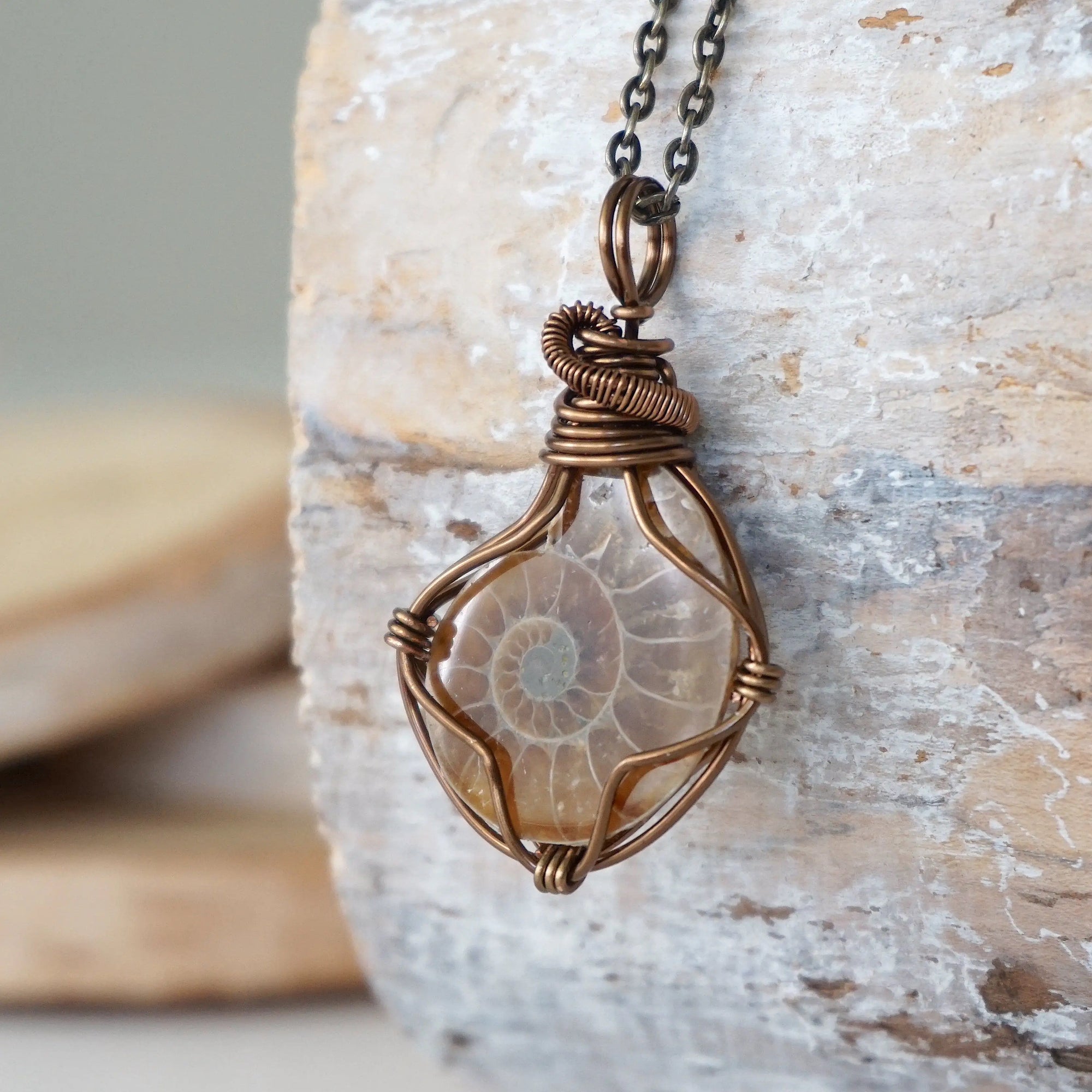 Ammonite Pendant - Antique Bronze DesignsbyNatureGems