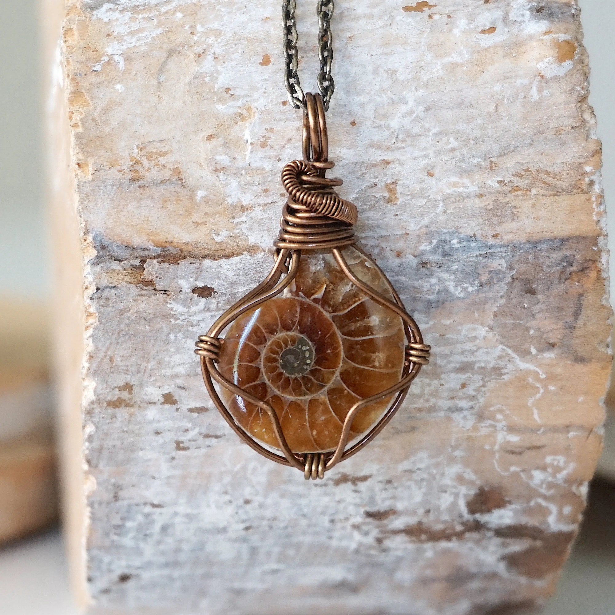 Ammonite Pendant - Antique Bronze DesignsbyNatureGems