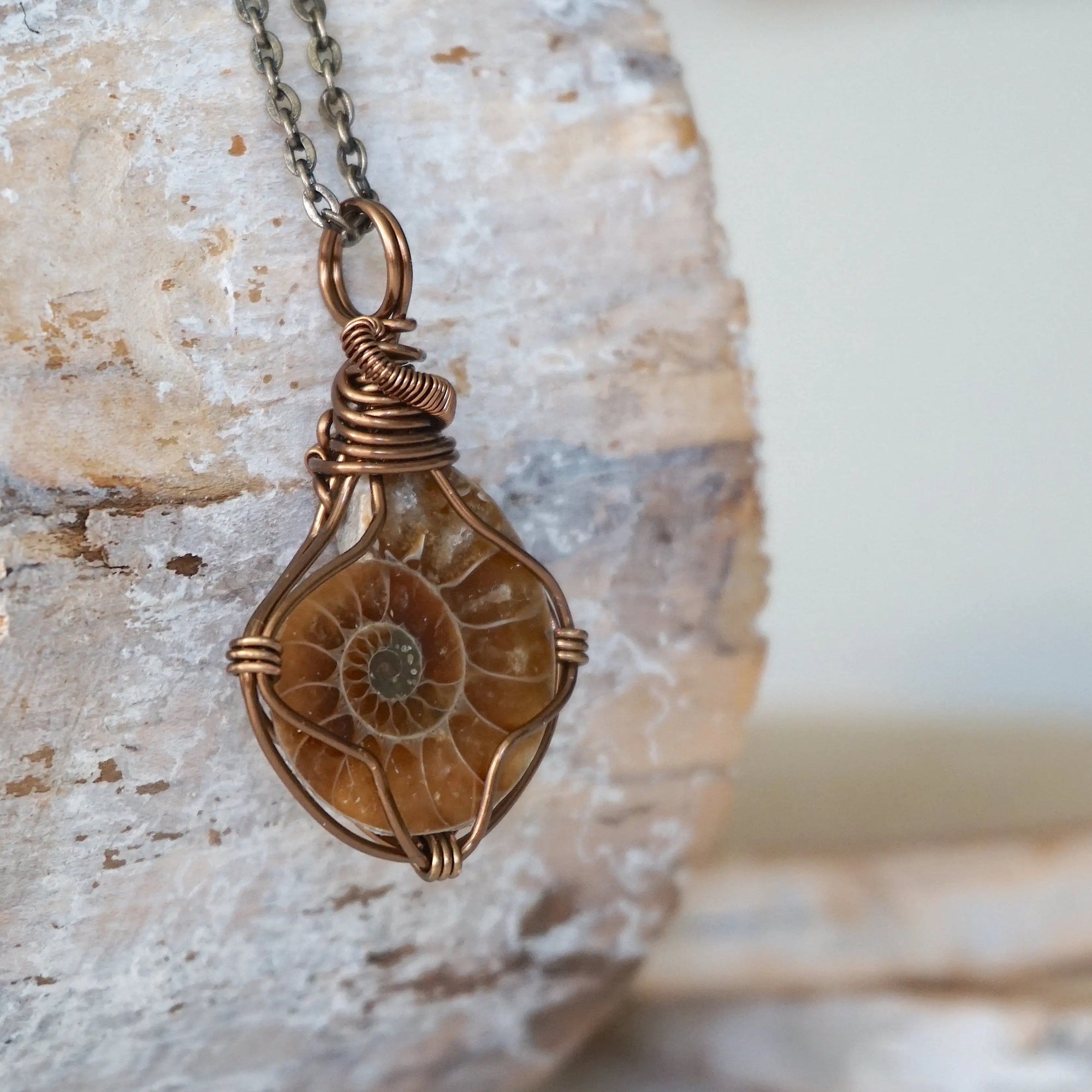 Ammonite Pendant - Antique Bronze DesignsbyNatureGems