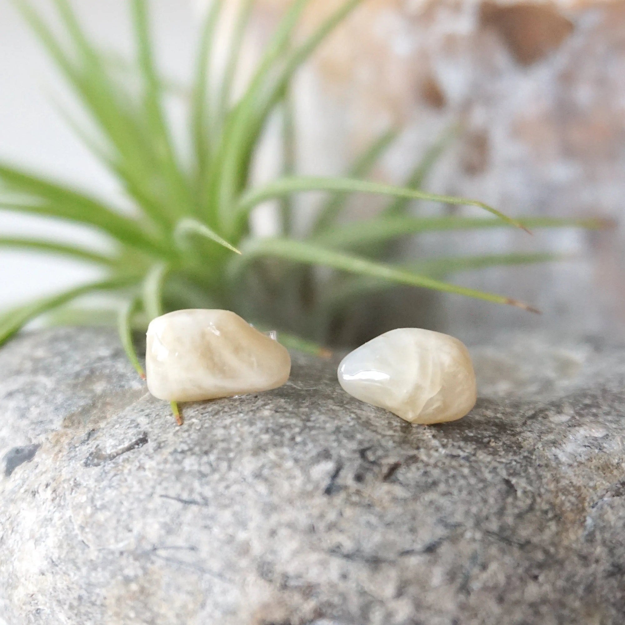 Front view close-up of natural polished moonstone stud earrings on 925 sterling silver posts, minimalist June birthstone earrings.