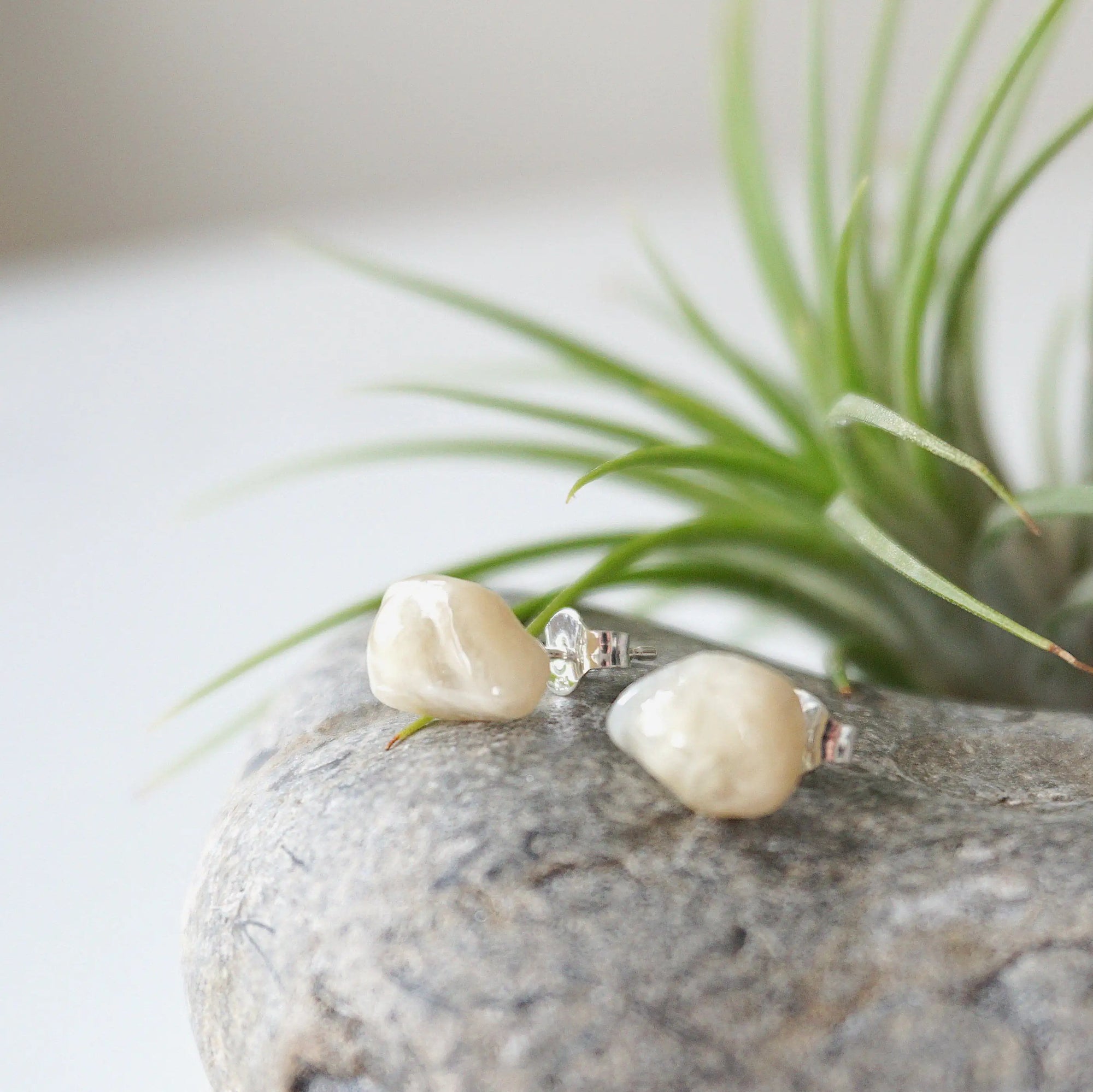 Left angle close-up of natural polished moonstone stud earrings highlighting creamy glow and subtle colour variation, June birthstone studs.
