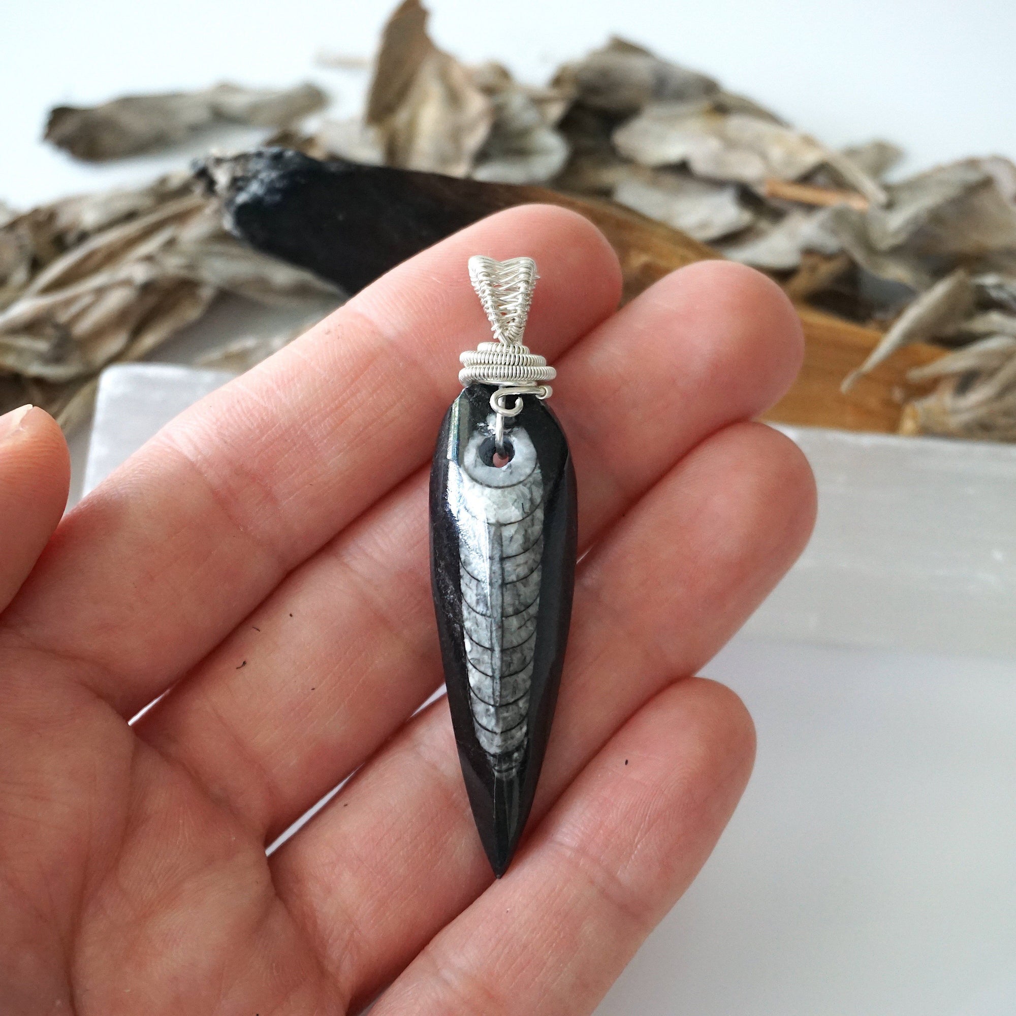 Orthoceras fossil pendant in hand for size reference – genuine black fossil, 925 sterling silver wire, ancient ocean jewelry, masculine design.