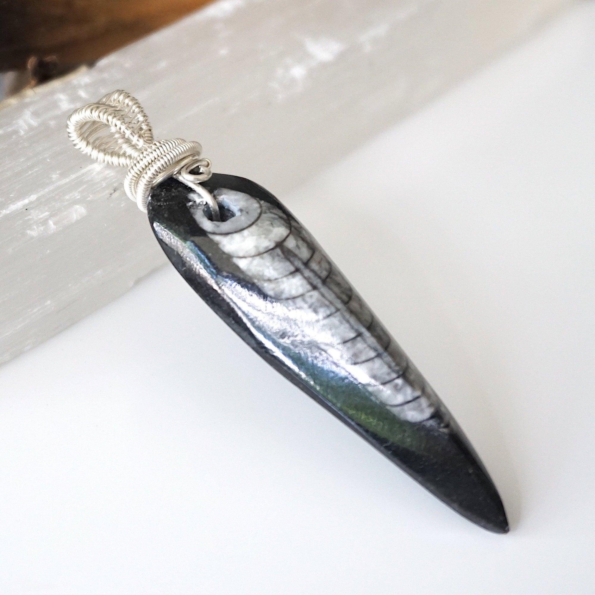 Right angle close-up of Orthoceras fossil pendant for men – highlighting artisan wire-wrapped details, ancient ocean fossil, 925 sterling silver.
