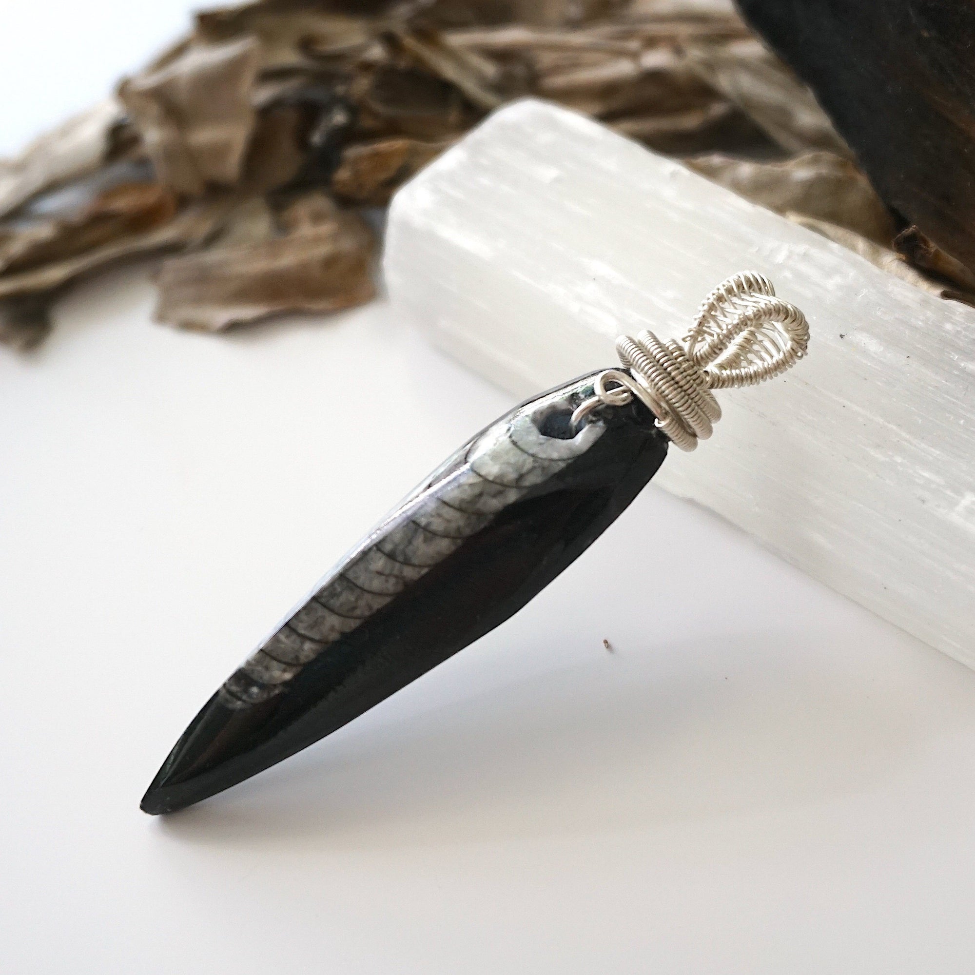 Left angle close-up of Orthoceras fossil pendant for men – unique wire-wrapped artistry, black fossil, 925 sterling silver, prehistoric jewelry.