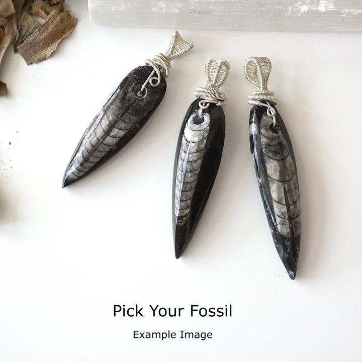 Black Fossil Pendant - Men's Necklace Designs by Nature Gems