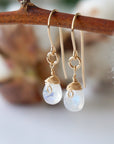 Rainbow Moonstone Drop Earrings - 14k Gold Filled Designs by Nature Gems